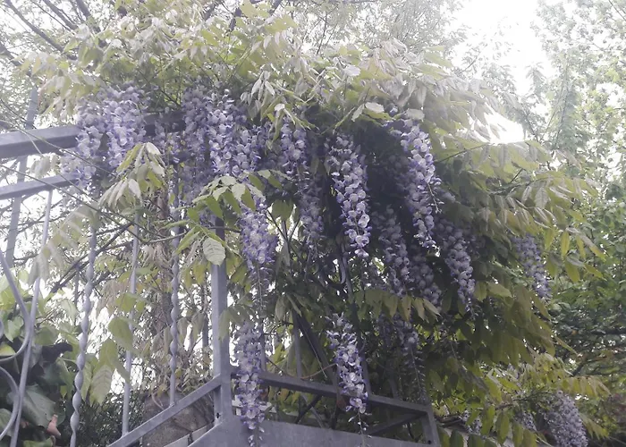 La Gazza Allegra Lägenhet Querciola