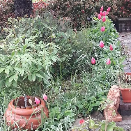 La Gazza Allegra Daire *