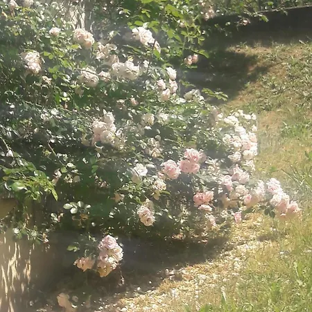 La Gazza Allegra アパート *