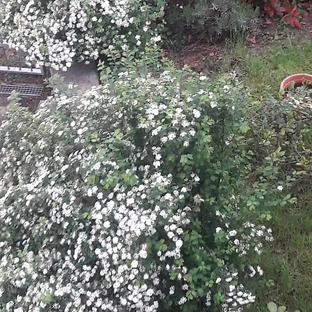 アパート La Gazza Allegra *