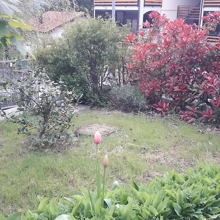 La Gazza Allegra Apartman *