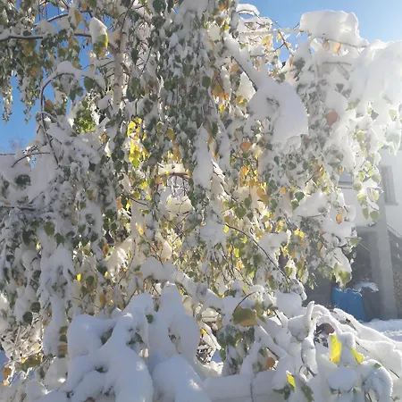 La Gazza Allegra Διαμέρισμα