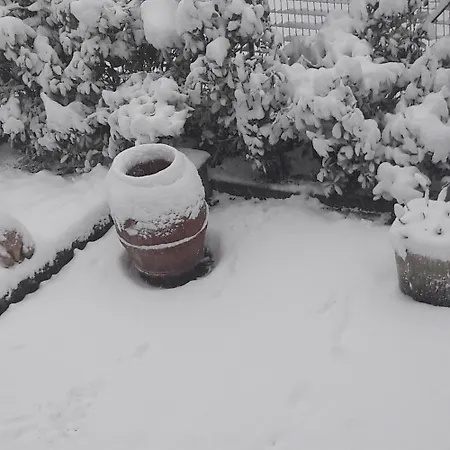 Διαμέρισμα La Gazza Allegra Querciola