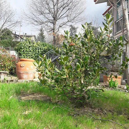 La Gazza Allegra Querciola