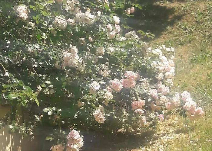 La Gazza Allegra Appartamento *