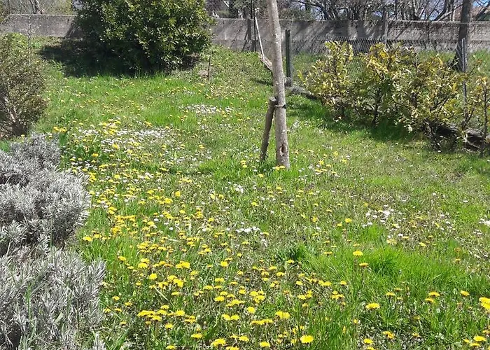 La Gazza Allegra Διαμέρισμα *