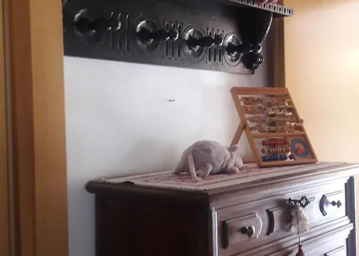 La Gazza Allegra Appartamento