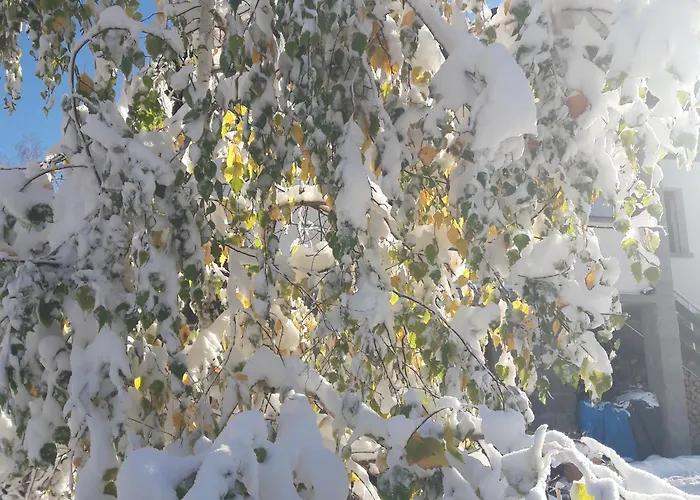 La Gazza Allegra Appartamento