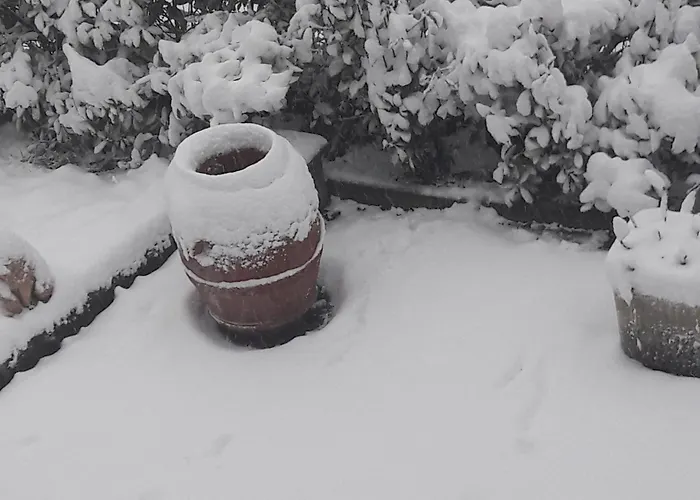 Διαμέρισμα La Gazza Allegra Querciola